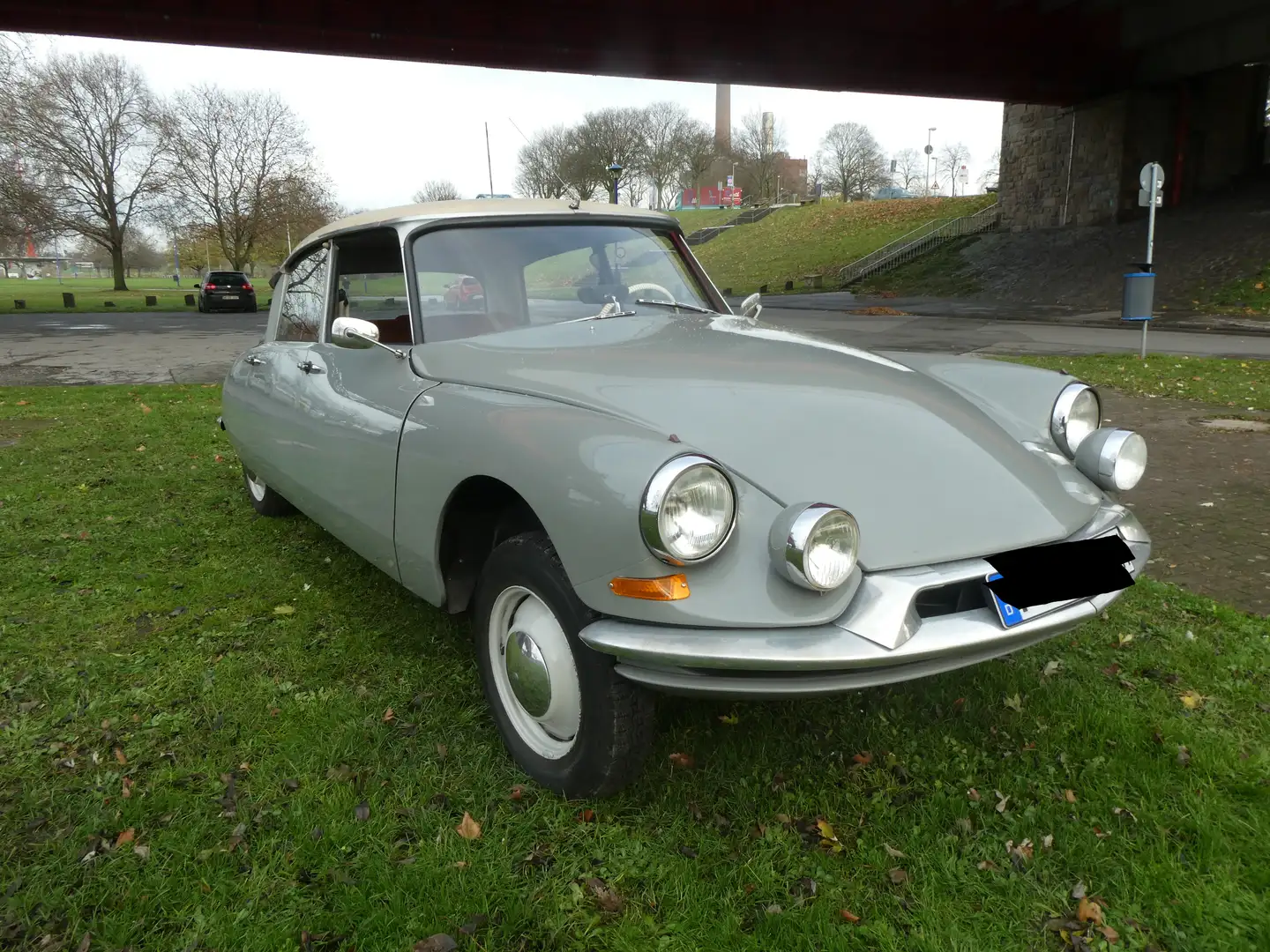 Citroen Citroen ID19 Confort Серый - 2