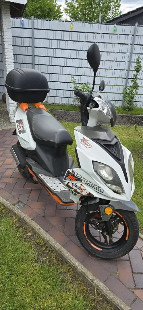 Explorer Spin 50 Weiß - 1