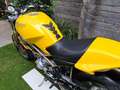 Ducati Monster 900 Geel - thumbnail 18