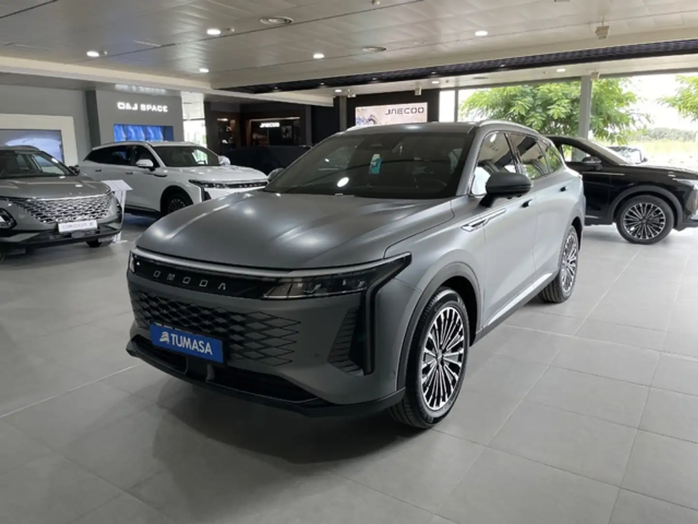 Omoda 9 1.5 TGDI Premium Gris - 2