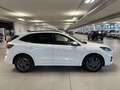 Ford Kuga 2.500 BENZINA FULL HYBRID 190CV ST-LINE C.AUTO Blanc - thumbnail 8