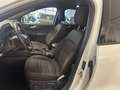Ford Kuga 2.500 BENZINA FULL HYBRID 190CV ST-LINE C.AUTO Blanc - thumbnail 11