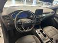 Ford Kuga 2.500 BENZINA FULL HYBRID 190CV ST-LINE C.AUTO Blanc - thumbnail 9