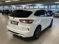 Ford Kuga 2.500 BENZINA FULL HYBRID 190CV ST-LINE C.AUTO Blanc - thumbnail 7