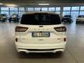 Ford Kuga 2.500 BENZINA FULL HYBRID 190CV ST-LINE C.AUTO Blanc - thumbnail 6
