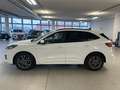 Ford Kuga 2.500 BENZINA FULL HYBRID 190CV ST-LINE C.AUTO Blanc - thumbnail 4
