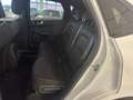 Ford Kuga 2.500 BENZINA FULL HYBRID 190CV ST-LINE C.AUTO Blanc - thumbnail 12