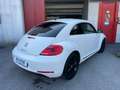 Volkswagen Maggiolino Maggiolino 2011 1.2 tsi Design ok neop. GARANZIA Blanco - thumbnail 4