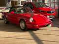 Alfa Romeo Spider Rot - thumbnail 24