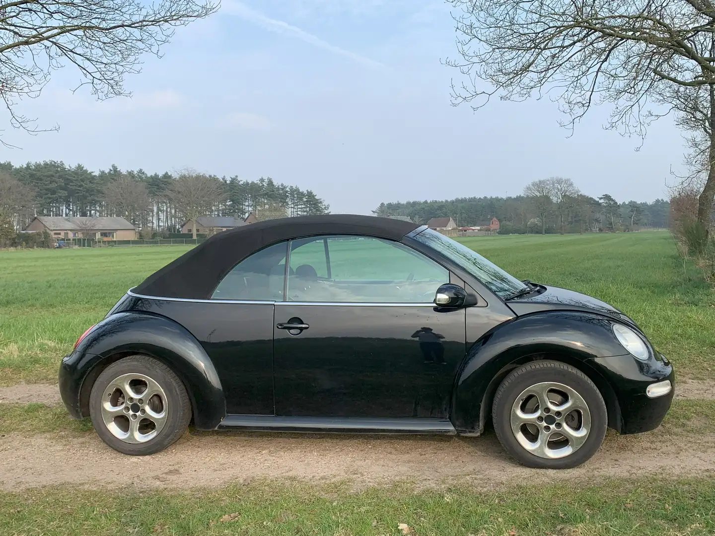Volkswagen New Beetle New Beetle Cabriolet 1.4 Zwart - 1
