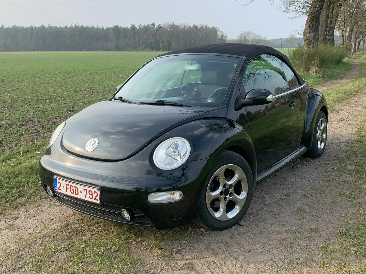 Volkswagen New Beetle New Beetle Cabriolet 1.4 Zwart - 2