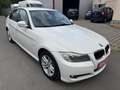 BMW 318 318i/Steuerkette Neu/Temp/SHZ/Klima/PDC/Alu/Isofix Wit - thumbnail 2