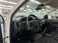 Ford Ranger 2.0 Ecoblue S&S DCb. XLT 4x4 170 Weiß - thumbnail 8