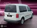 Volkswagen Caddy 1.0 TSI Trend ALPINE APPLE SHZ KLIMA PDC Weiß - thumbnail 3