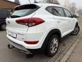 Hyundai TUCSON Trend 4WD*LED*Automatik Blanc - thumbnail 7