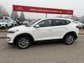 Hyundai TUCSON Trend 4WD*LED*Automatik Blanc - thumbnail 4