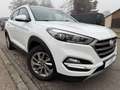 Hyundai TUCSON Trend 4WD*LED*Automatik Blanc - thumbnail 3