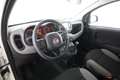 Fiat Panda 1.0 FireFly Hybrid City Life Bianco - thumbnail 7