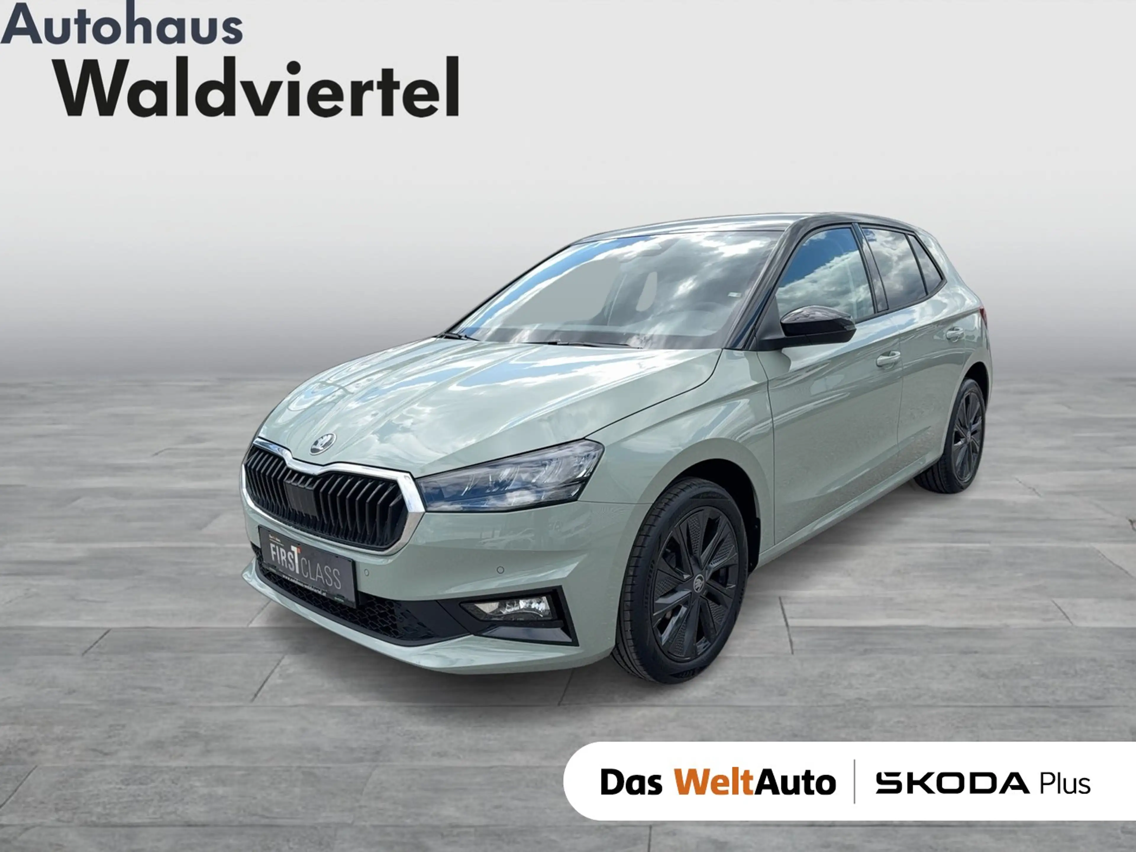 Skoda Fabia Selection TSI
