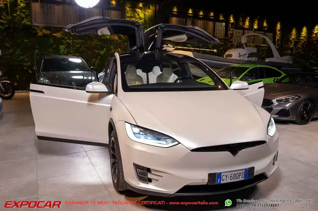 Tesla Model X Model X 100 D