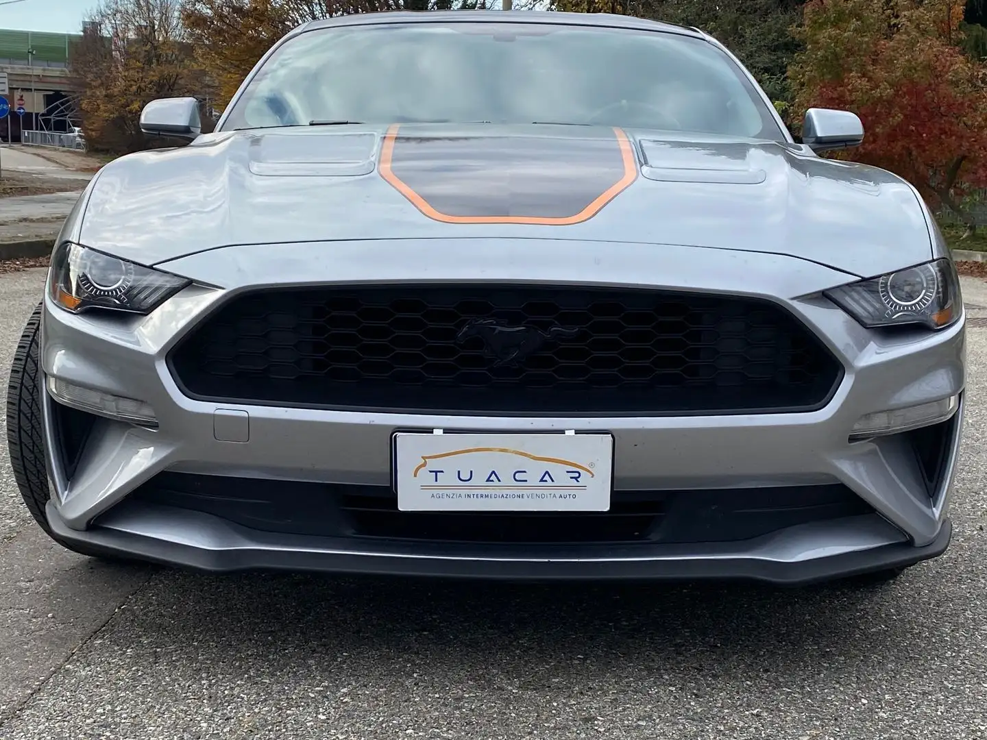 Ford Mustang -- 2.3 EcoBoost Gri - 2