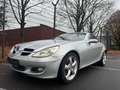 Mercedes-Benz SLK 350 Roadster SLK 350 Leder Navi Xenon Argintiu - thumbnail 7