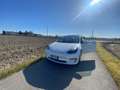 Tesla Model 3 Long Range Dual Motor 4x4 interni Bianchi - thumbnail 2