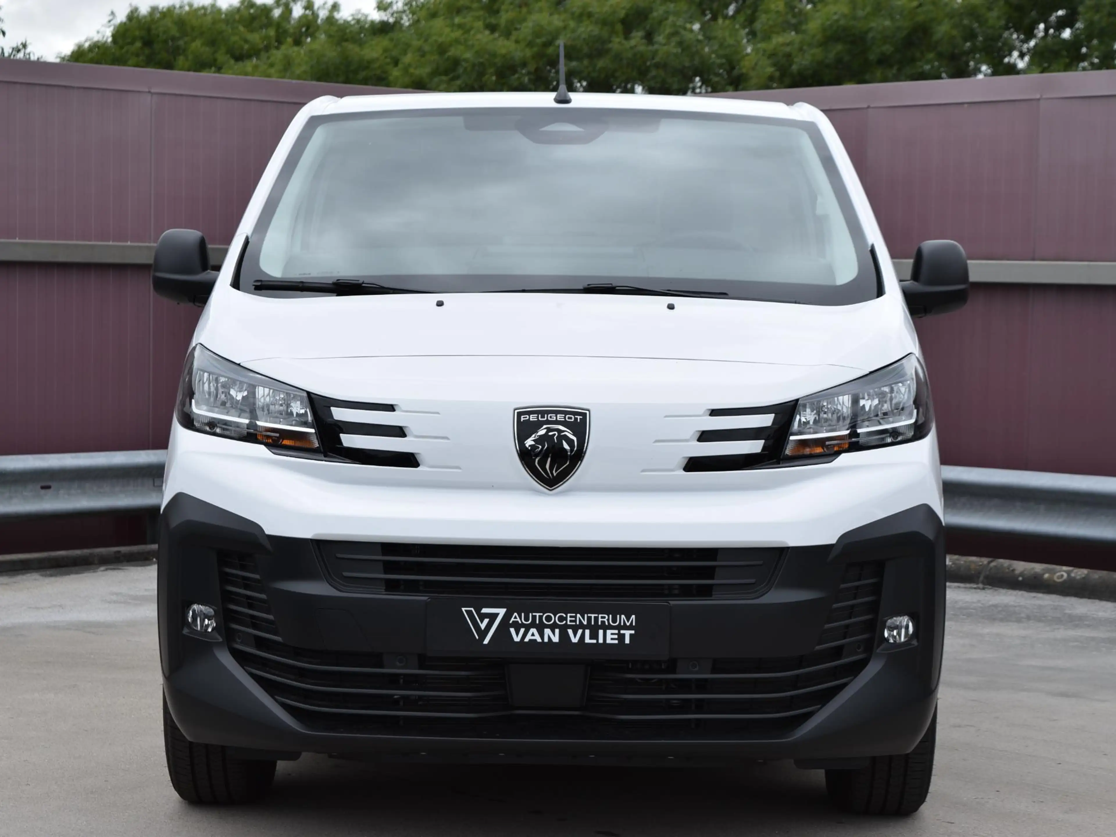 Peugeot Expert GB L3H1 75KWH LED Laadruimte verlichting  /  Houte — photo 4