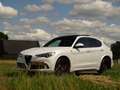 Alfa Romeo Stelvio 2.9 V6 AWD Quadrifoglio | 600PK | Nieuwe motor! | Wit - thumbnail 13