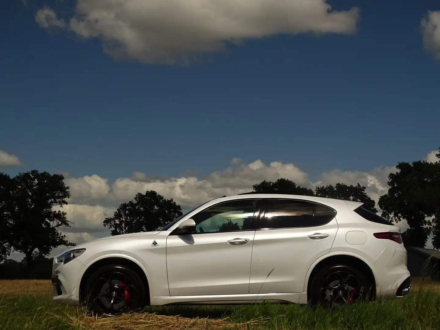 Alfa Romeo Stelvio 2.9 V6 AWD Quadrifoglio | 600PK | Nieuwe motor! | Wit - 2