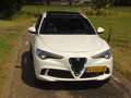 Alfa Romeo Stelvio 2.9 V6 AWD Quadrifoglio | 600PK | Nieuwe motor! | Wit - thumbnail 19