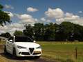 Alfa Romeo Stelvio 2.9 V6 AWD Quadrifoglio | 600PK | Nieuwe motor! | Wit - thumbnail 28