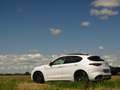 Alfa Romeo Stelvio 2.9 V6 AWD Quadrifoglio | 600PK | Nieuwe motor! | Wit - thumbnail 40