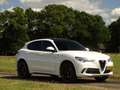 Alfa Romeo Stelvio 2.9 V6 AWD Quadrifoglio | 600PK | Nieuwe motor! | Wit - thumbnail 8