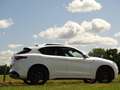 Alfa Romeo Stelvio 2.9 V6 AWD Quadrifoglio | 600PK | Nieuwe motor! | Wit - thumbnail 11