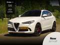 Alfa Romeo Stelvio 2.9 V6 AWD Quadrifoglio | 600PK | Nieuwe motor! | Wit - thumbnail 1