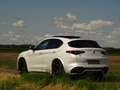 Alfa Romeo Stelvio 2.9 V6 AWD Quadrifoglio | 600PK | Nieuwe motor! | Wit - thumbnail 38