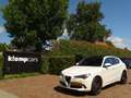 Alfa Romeo Stelvio 2.9 V6 AWD Quadrifoglio | 600PK | Nieuwe motor! | Wit - thumbnail 5