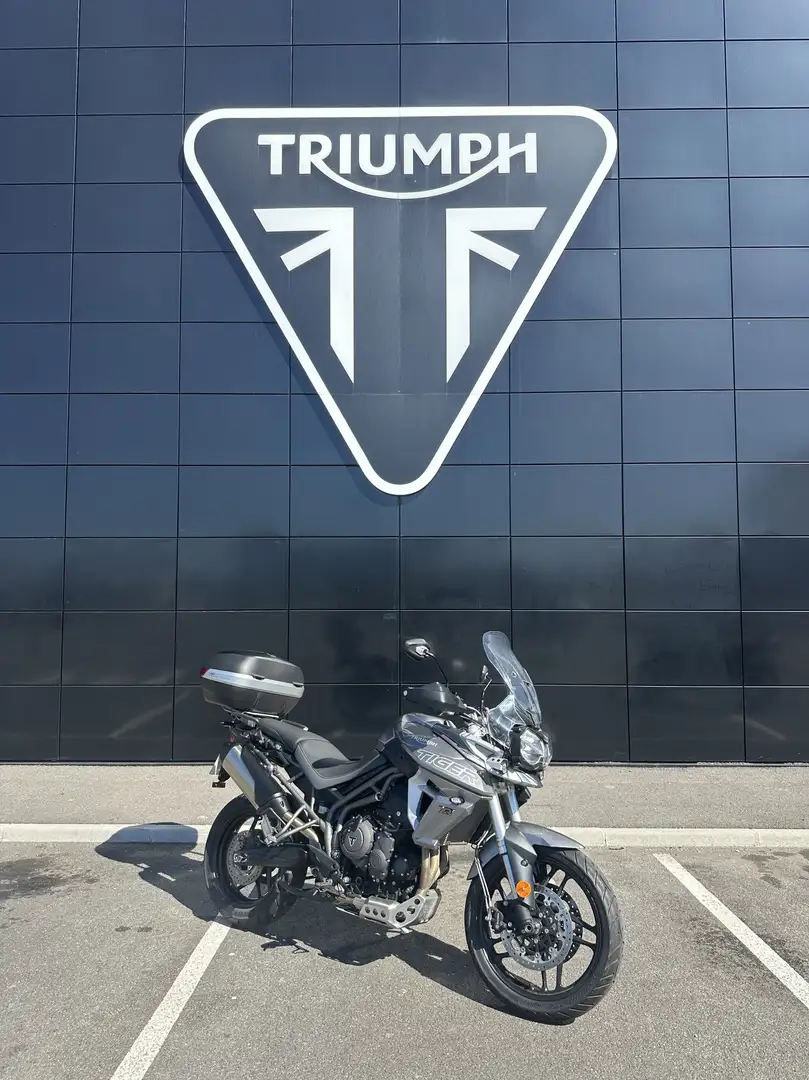 Triumph Tiger 800 Gris - 1