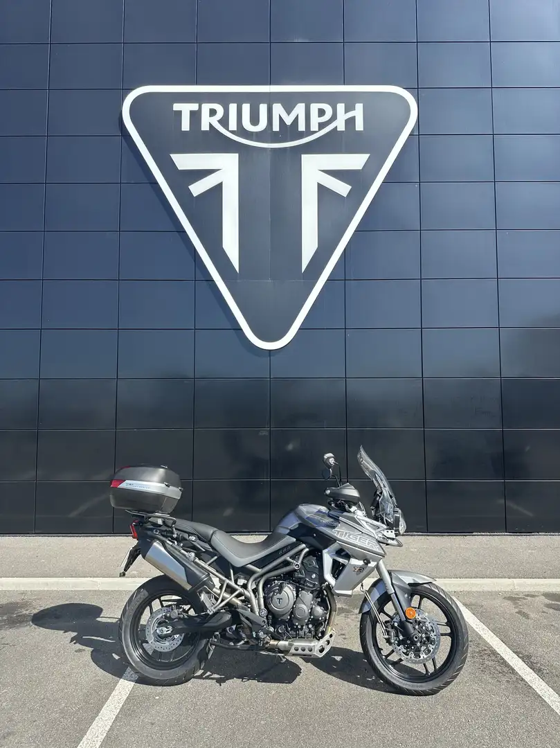 Triumph Tiger 800 Gris - 2