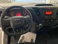 Iveco Daily Furgón 35S12 V 3520L H2 12.0 116 Bianco - thumbnail 11