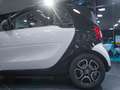 smart forTwo Fortwo Cabrio ed Weiß - thumbnail 5