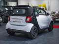 smart forTwo Fortwo Cabrio ed Weiß - thumbnail 8