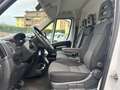 Fiat Ducato 35 3.0 CNG PM-TM Furgone Bianco - thumbnail 8