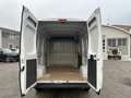 Fiat Ducato 35 3.0 CNG PM-TM Furgone Bianco - thumbnail 12
