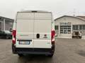 Fiat Ducato 35 3.0 CNG PM-TM Furgone Bianco - thumbnail 5
