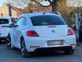 Volkswagen Beetle Beetle 1.6 CR TDi Design DSG Weiß - thumbnail 4