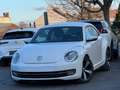Volkswagen Beetle Beetle 1.6 CR TDi Design DSG Weiß - thumbnail 1