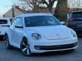 Volkswagen Beetle Beetle 1.6 CR TDi Design DSG Weiß - thumbnail 2