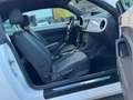 Volkswagen Beetle Beetle 1.6 CR TDi Design DSG Weiß - thumbnail 7